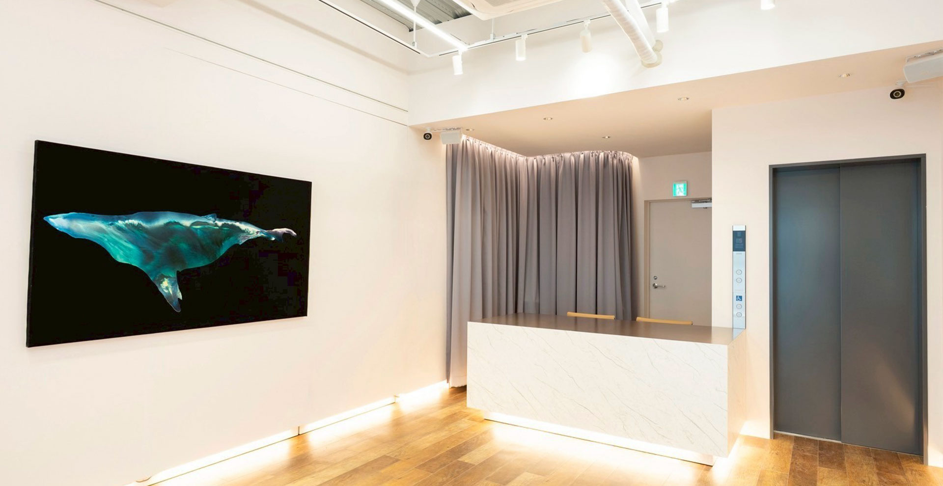Mh gallery
